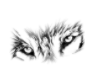 Eyes 